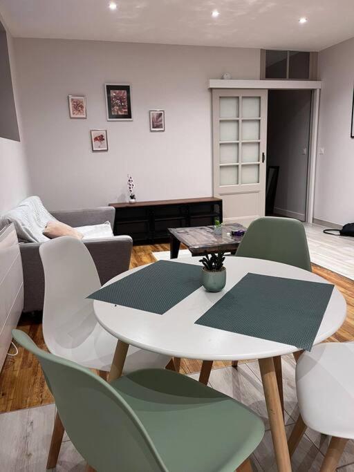 Proche Gare, Cosy, Courte Et Moyenne Duree Apartment Bellegarde-sur-Valserine Luaran gambar