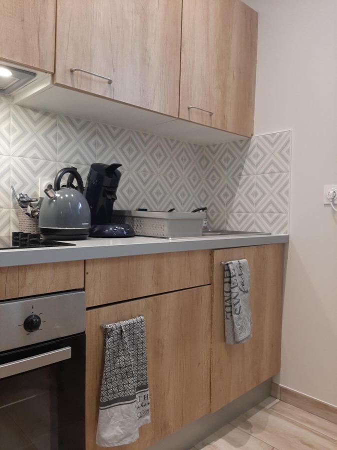 Proche Gare, Cosy, Courte Et Moyenne Duree Apartment Bellegarde-sur-Valserine Luaran gambar